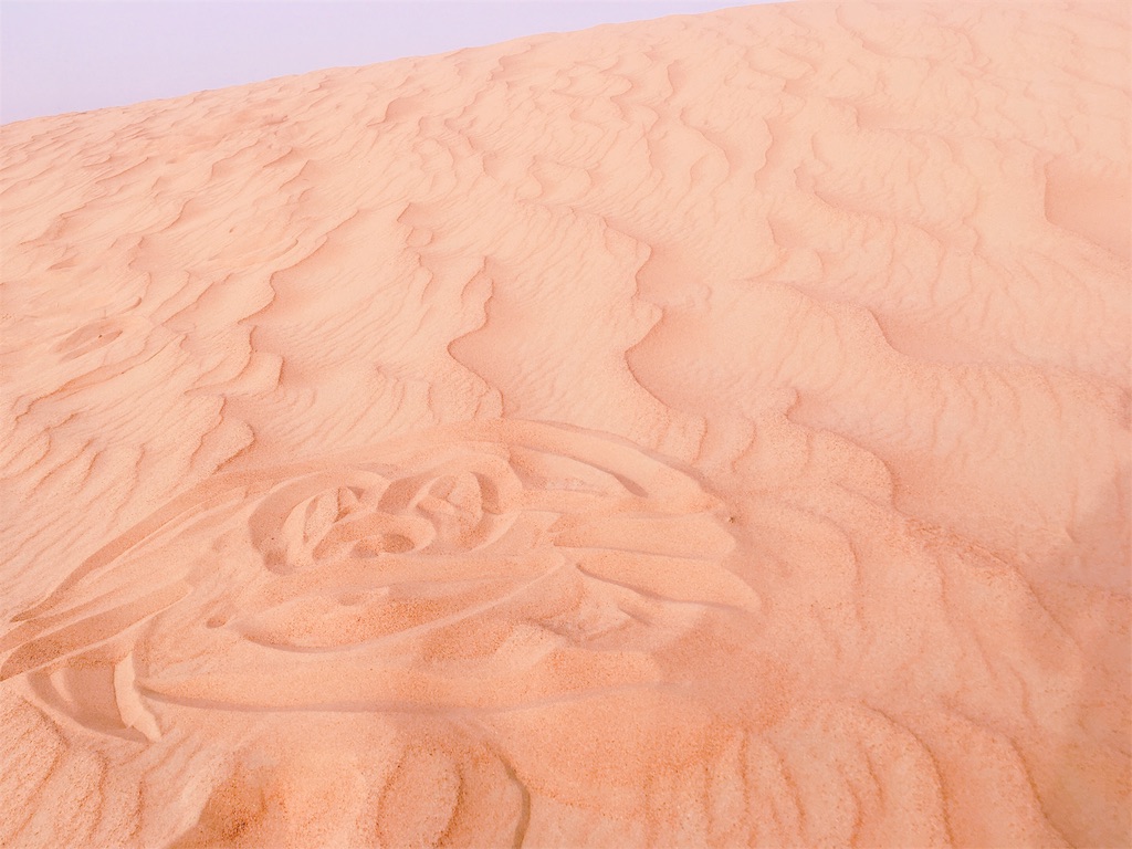 f:id:lili__lili:20190624204319j:image f:id:lili__lili:20190624204319j:image