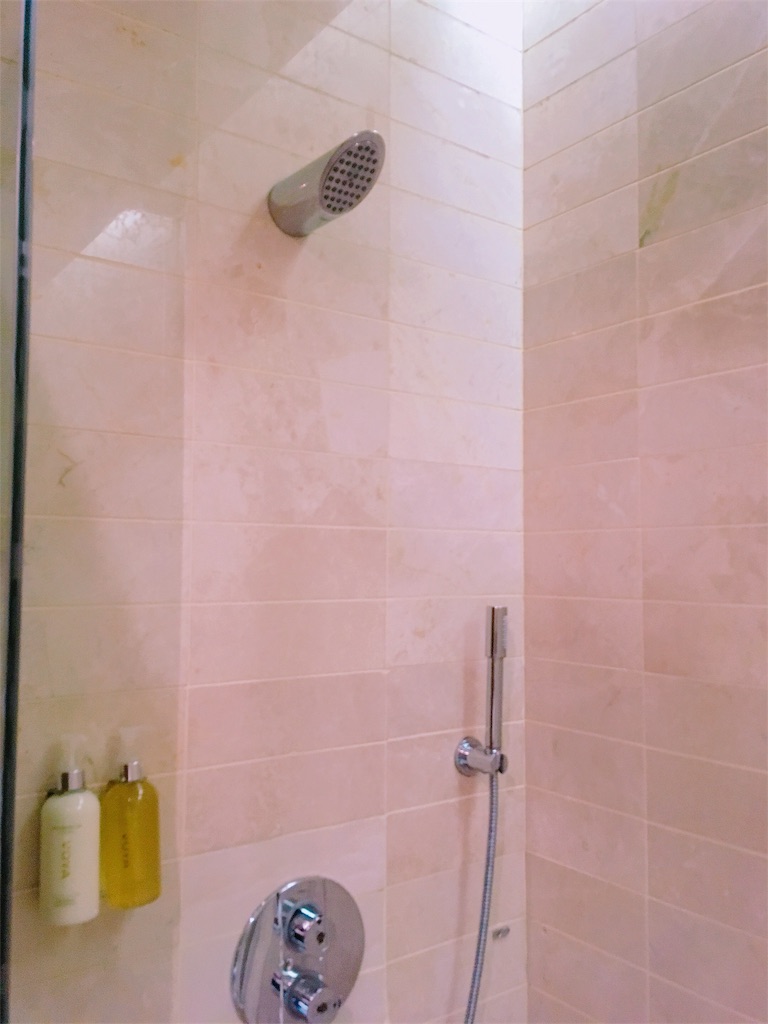 f:id:lili__lili:20190628112232j:image