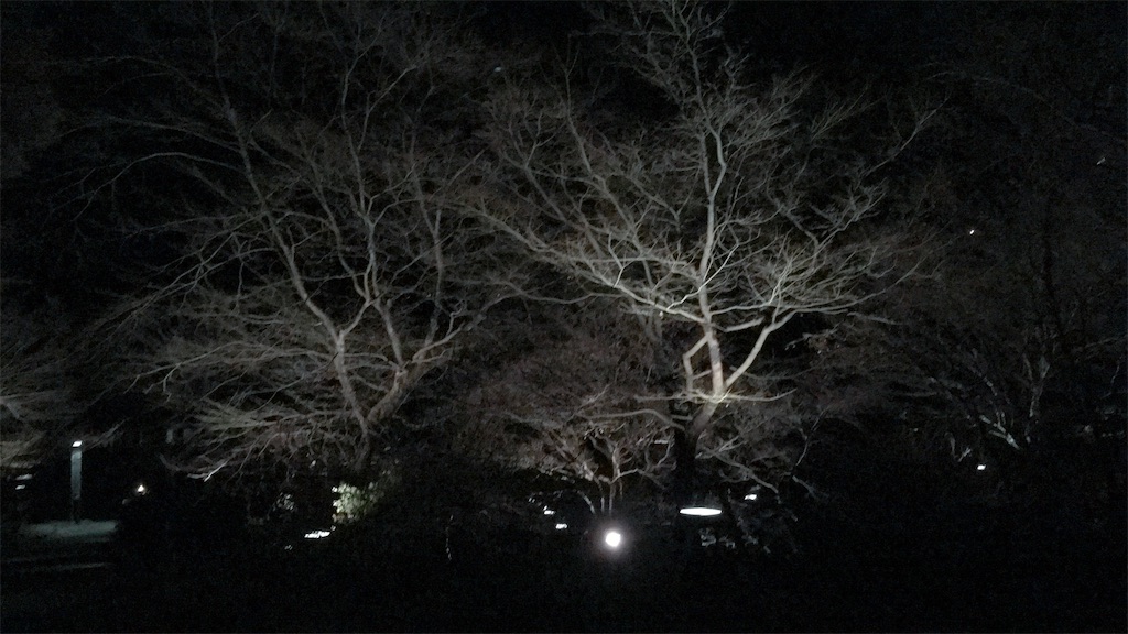 f:id:lili__lili:20200118082240j:image