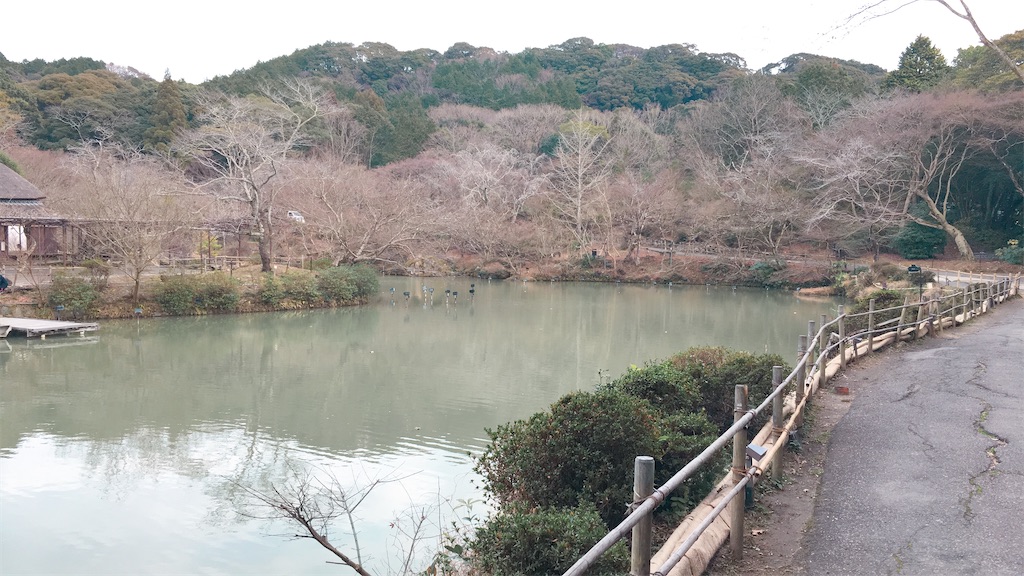 f:id:lili__lili:20200118082248j:image