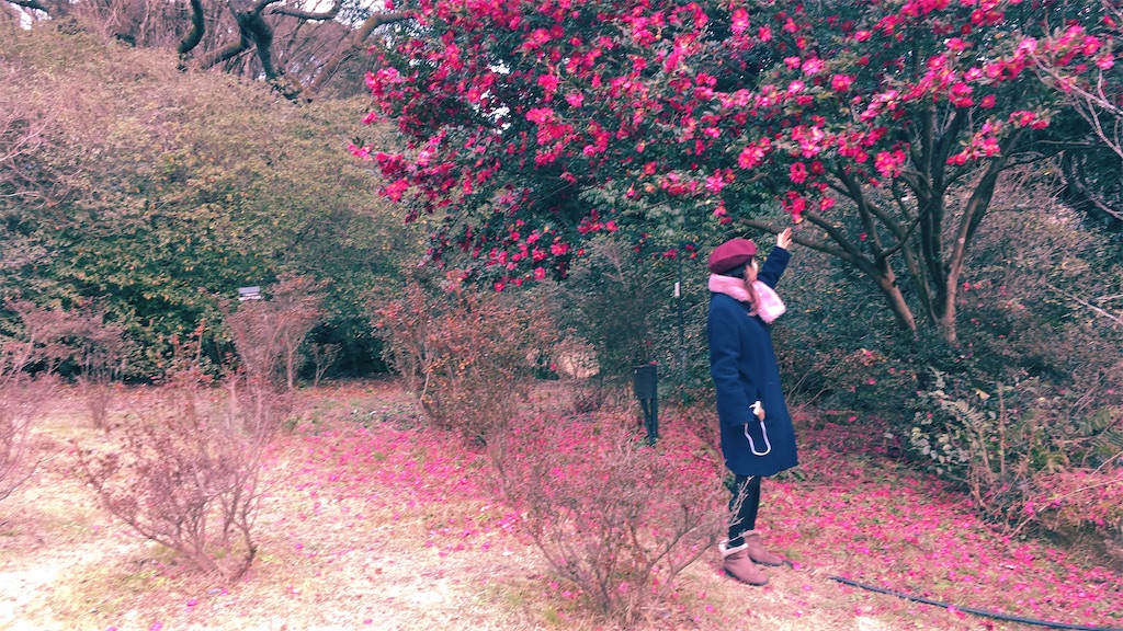 f:id:lili__lili:20200118082251j:image