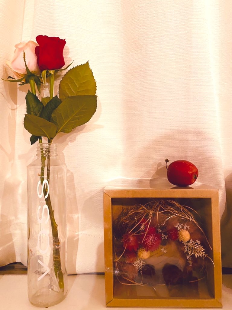 f:id:lili__lili:20201207123500j:image