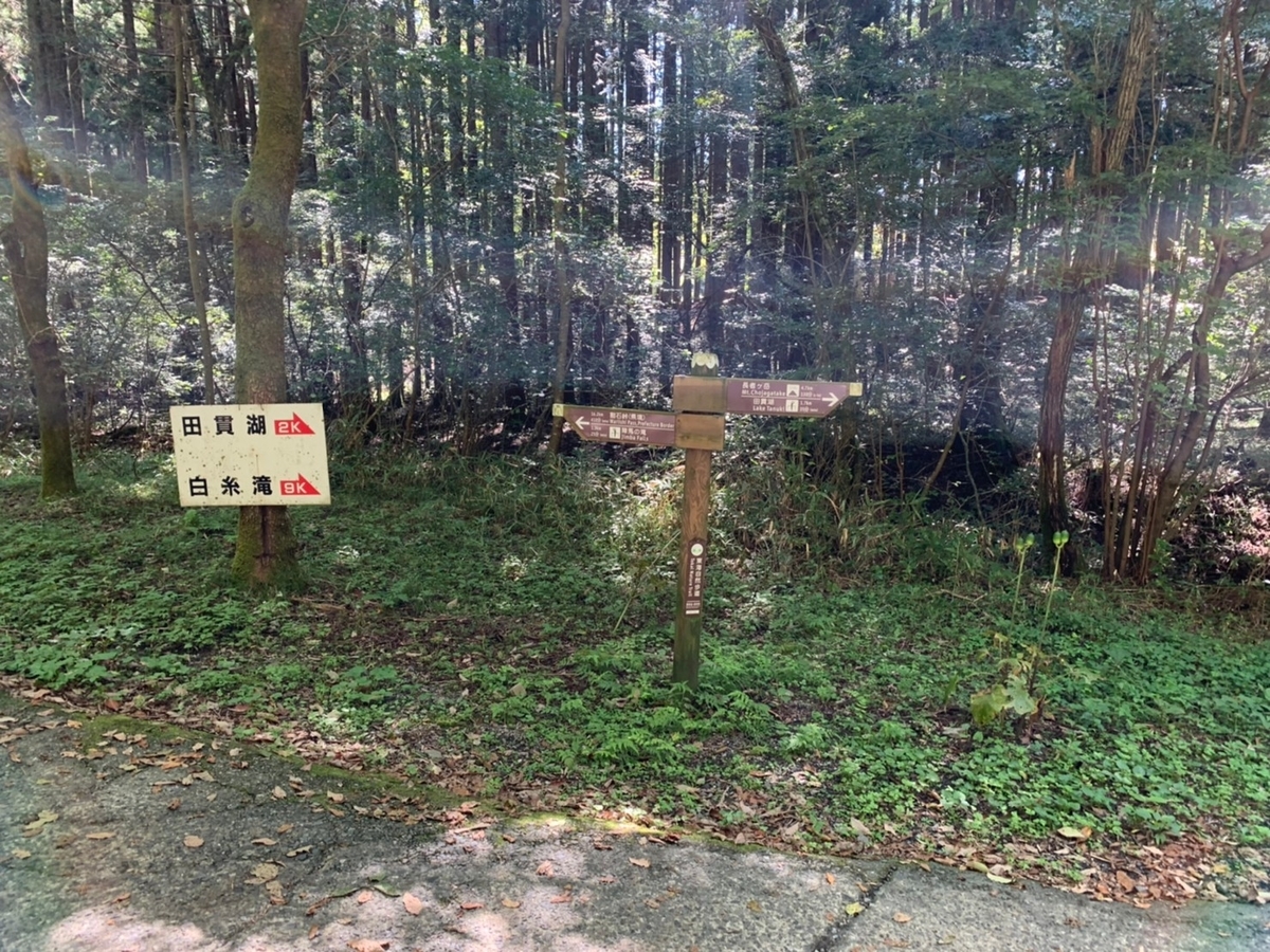 f:id:lilicocotan:20211009232306j:plain