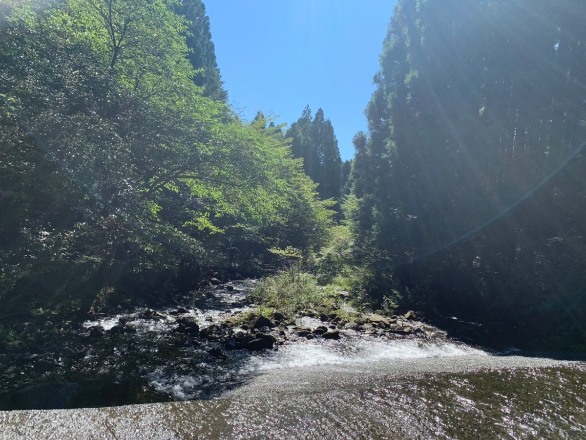 f:id:lilicocotan:20211009232643j:plain