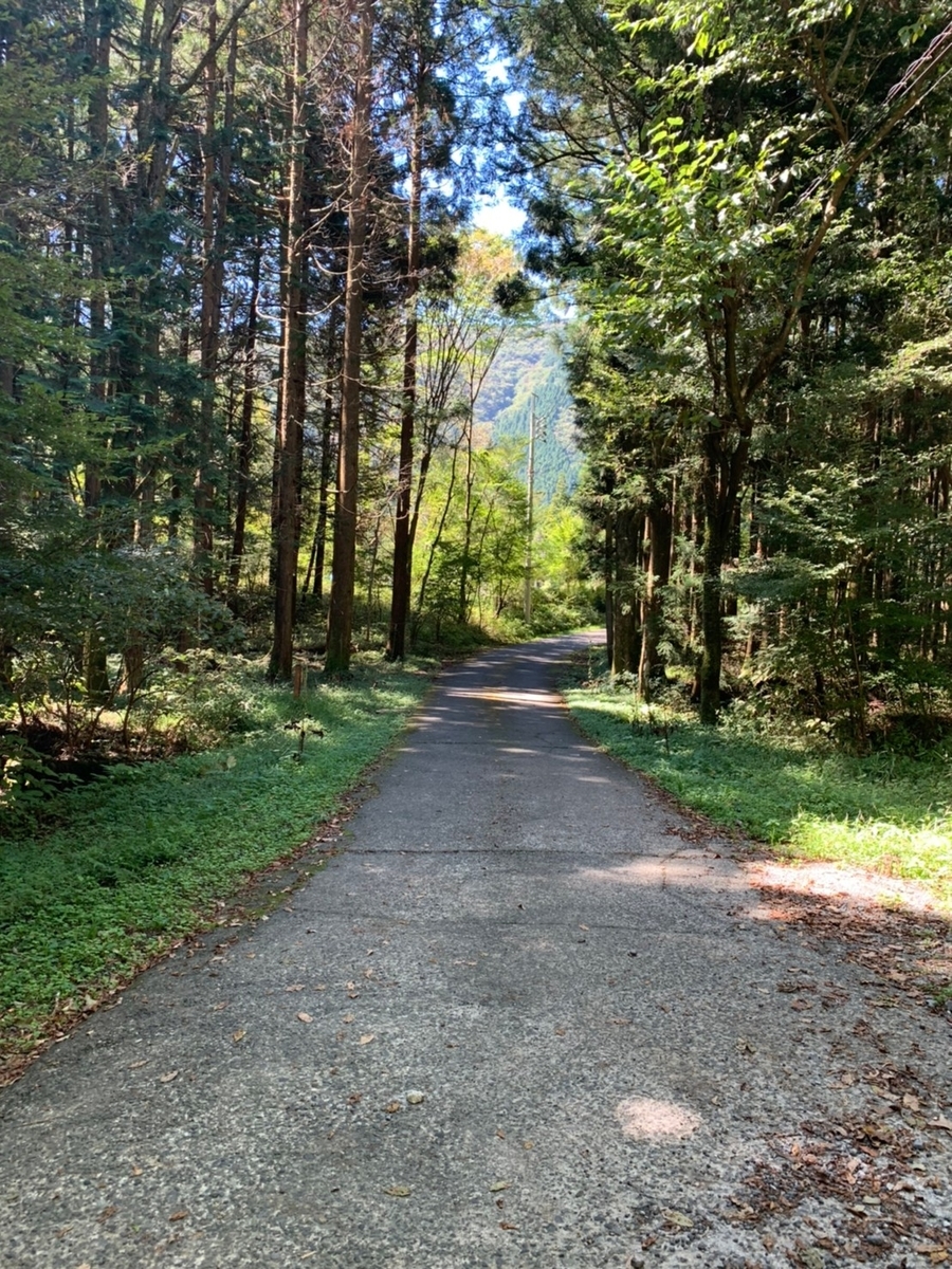 f:id:lilicocotan:20211009233958j:plain