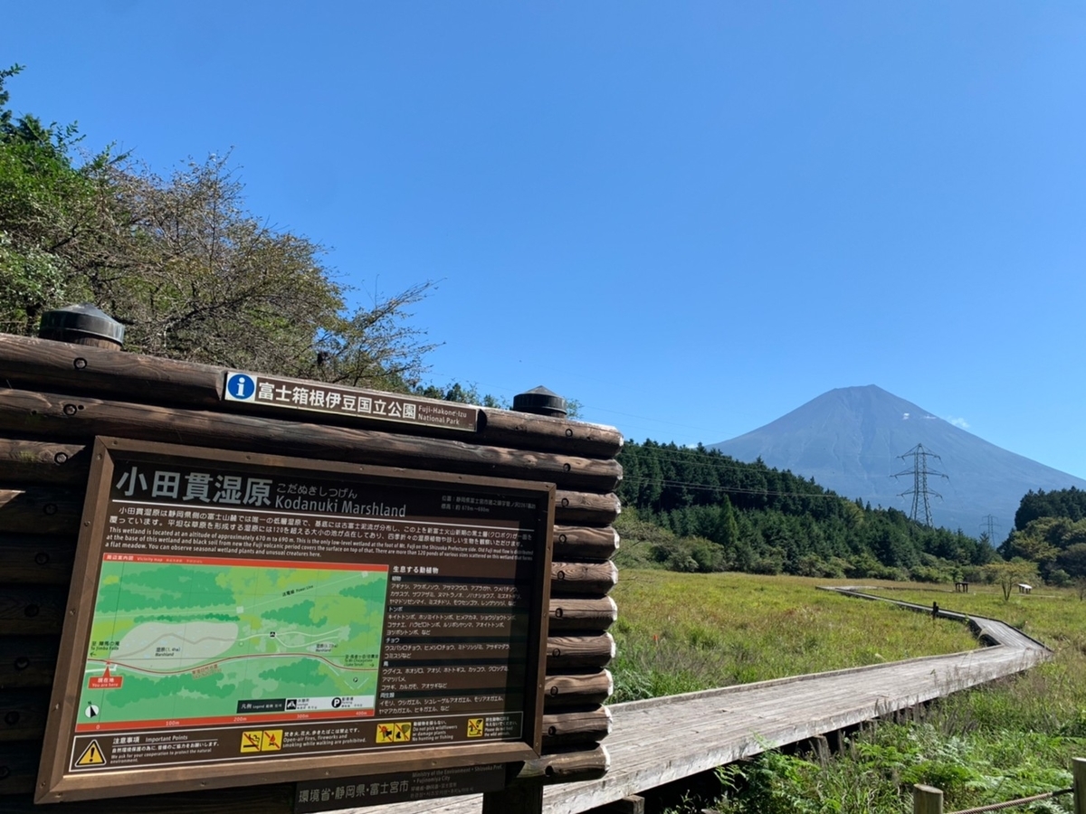 f:id:lilicocotan:20211009234113j:plain