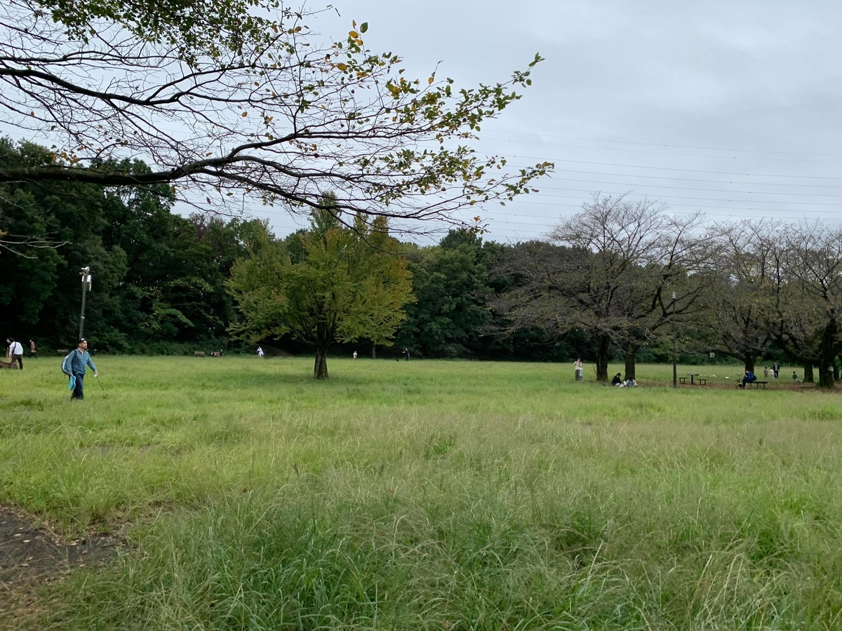 f:id:lilicocotan:20211010161422j:plain