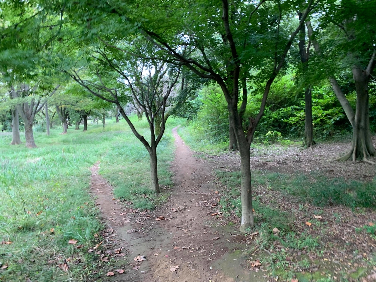 f:id:lilicocotan:20211010161539j:plain