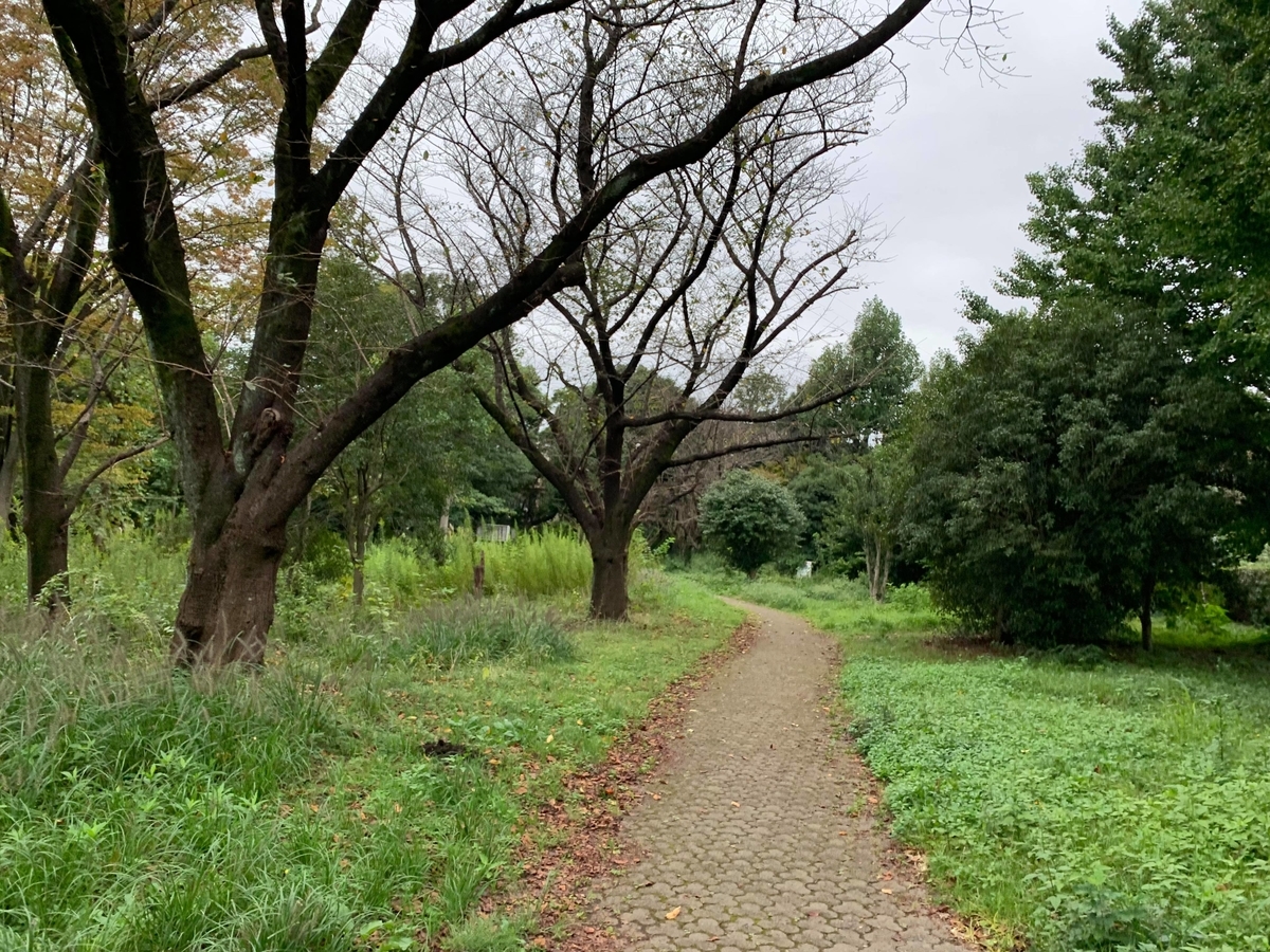 f:id:lilicocotan:20211010161634j:plain