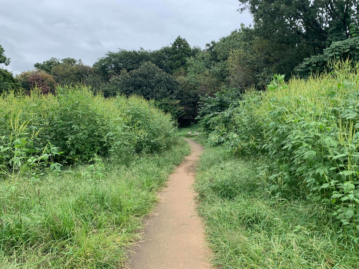 f:id:lilicocotan:20211010161737j:plain