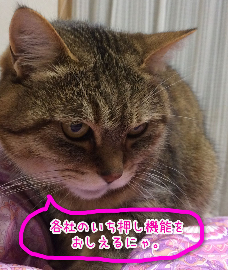 neko先生
