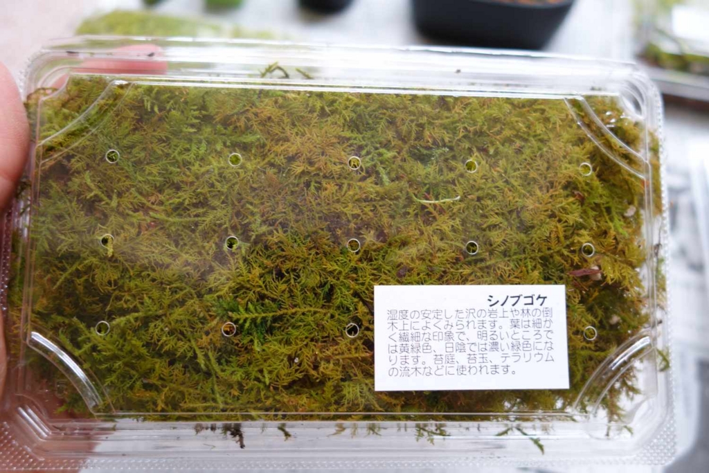 f:id:lilium0228:20170509071827j:plain