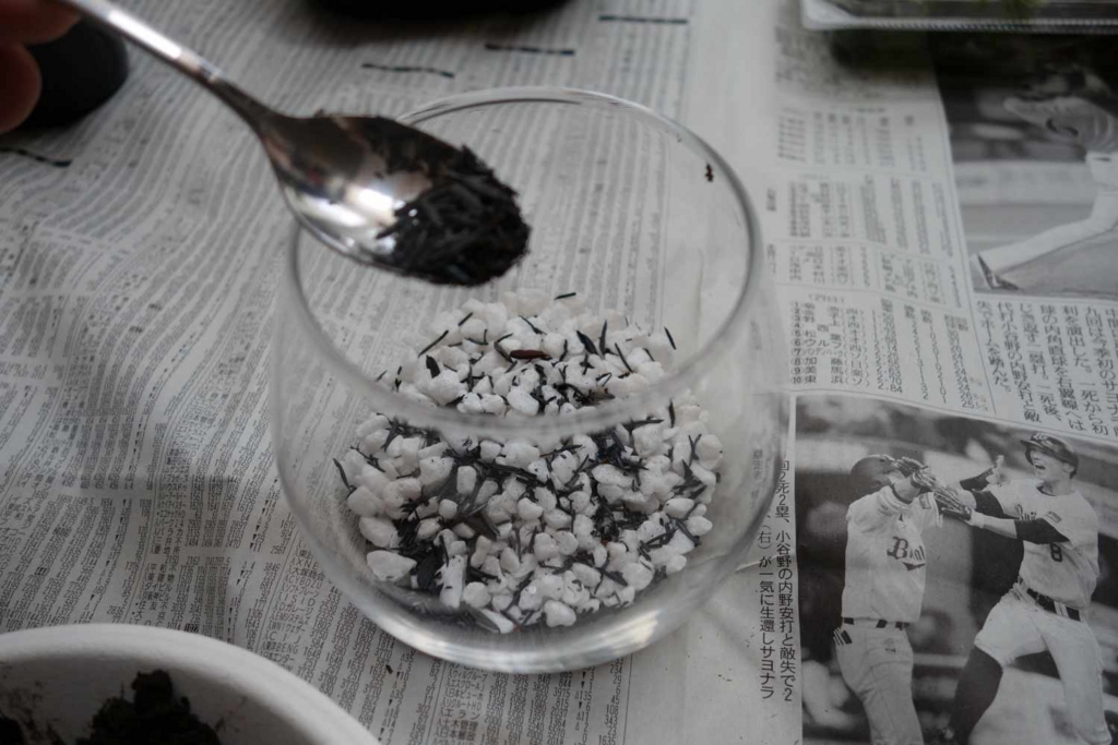 f:id:lilium0228:20170509071955j:plain