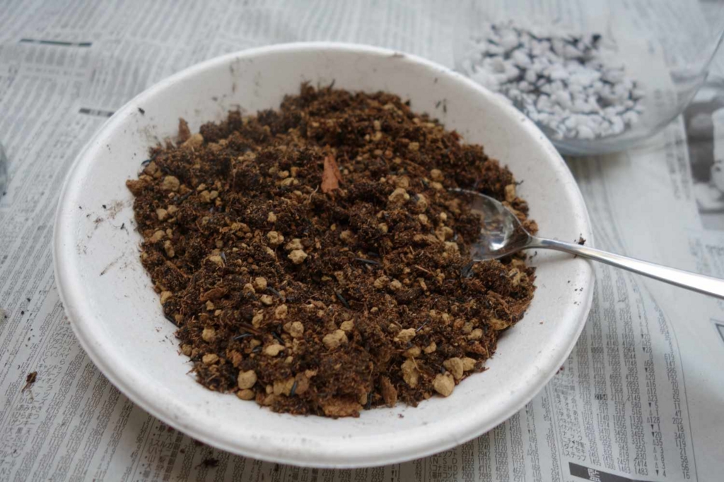 f:id:lilium0228:20170509072021j:plain