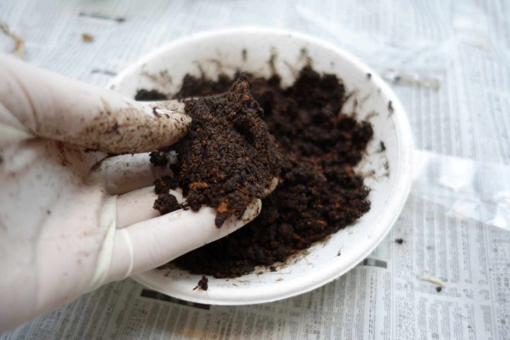 f:id:lilium0228:20170509072109j:plain