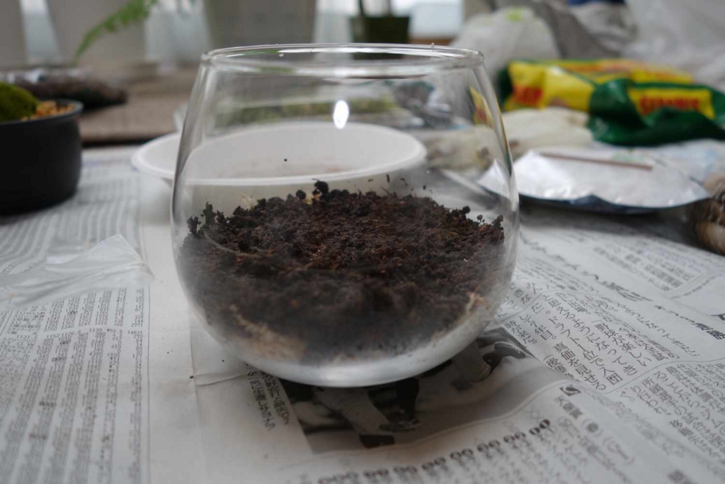 f:id:lilium0228:20170509072143j:plain