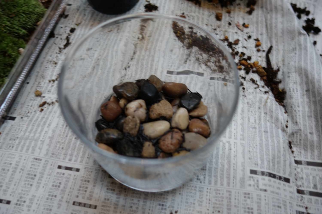 苔テラリウム日記 その3 土台作り 魔法使いは空飛ぶくじらの夢を見るか 苔テラリウム日記 その3 土台作り 魔法使いは空飛ぶくじらの夢を見るか