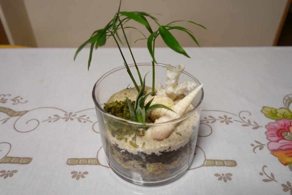 f:id:lilium0228:20170509072409j:plain