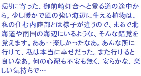 f:id:lilium_white:20200102050057j:plain