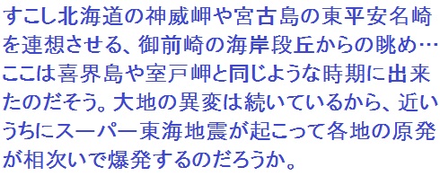f:id:lilium_white:20200102050111j:plain