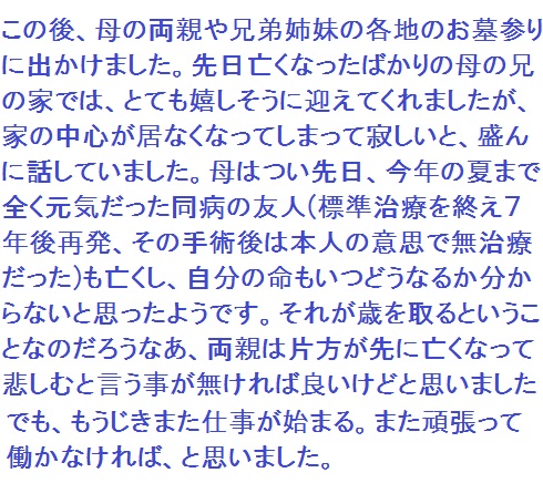 f:id:lilium_white:20200102050124j:plain