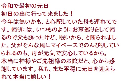 f:id:lilium_white:20200102050145j:plain
