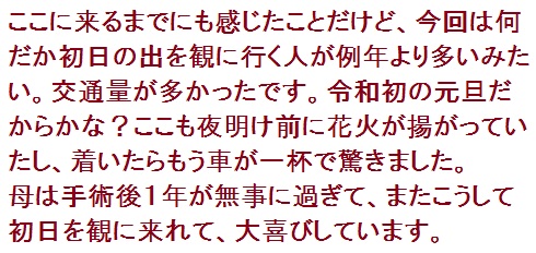f:id:lilium_white:20200102050150j:plain