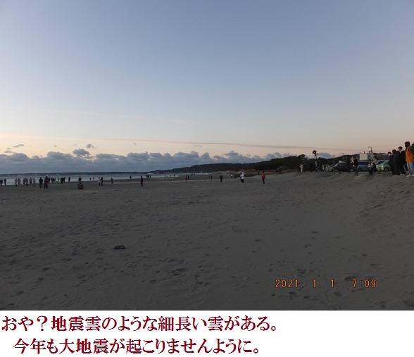f:id:lilium_white:20210101170413j:plain