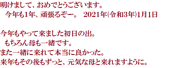 f:id:lilium_white:20210101170431p:plain