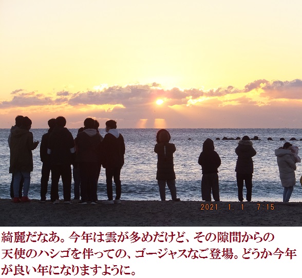 f:id:lilium_white:20210101170537j:plain