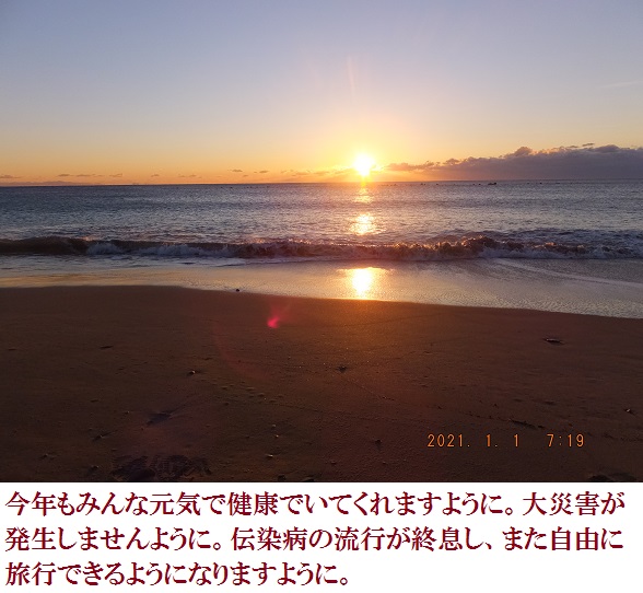 f:id:lilium_white:20210101170618j:plain