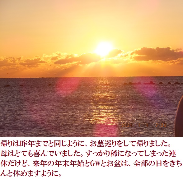 f:id:lilium_white:20210101170637j:plain