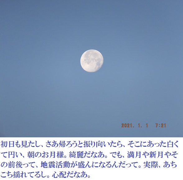 f:id:lilium_white:20210101170710j:plain