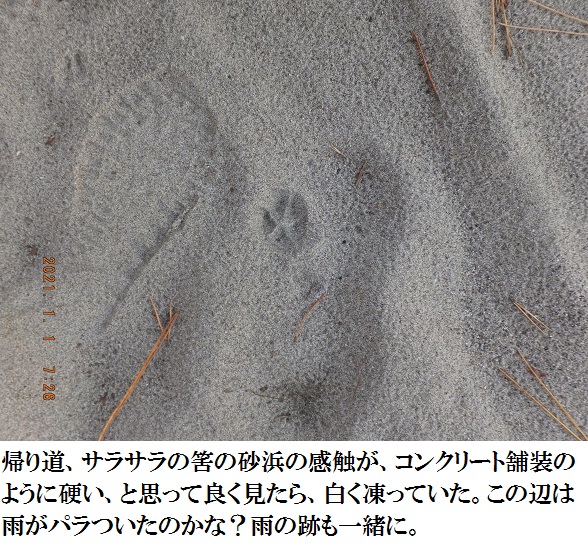 f:id:lilium_white:20210101170749j:plain