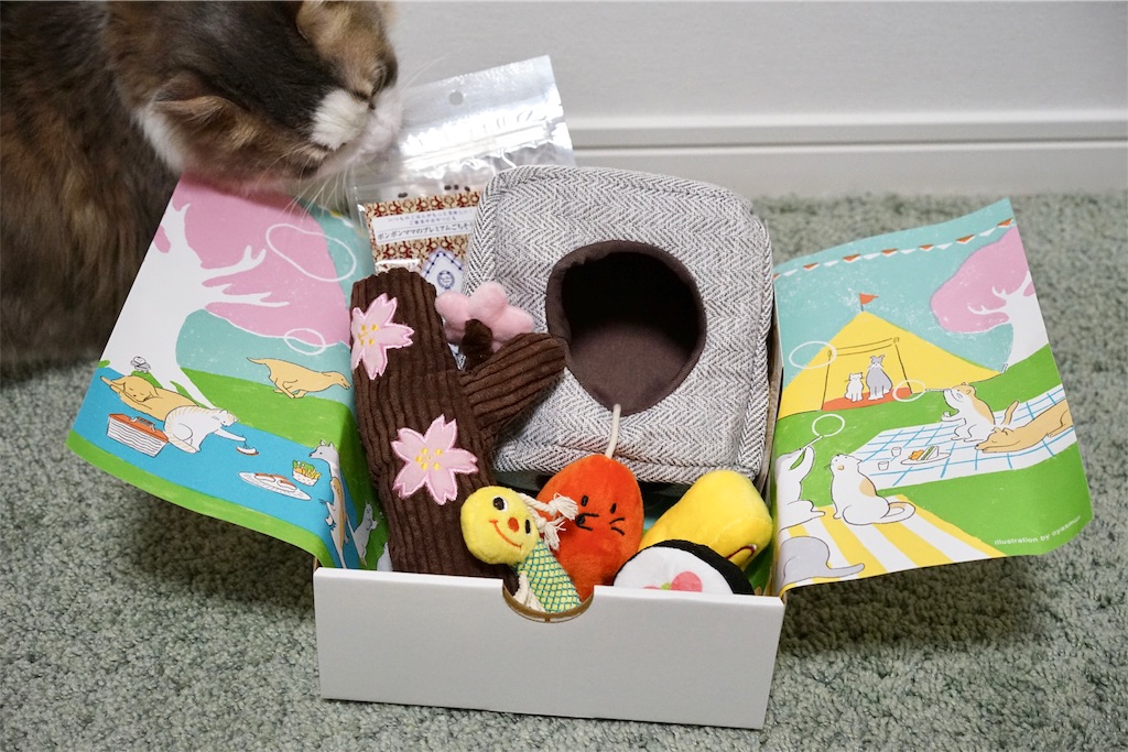 Pecobox 4月号 春のおでかけ号 の中身とは マンチカン リリーのブログ