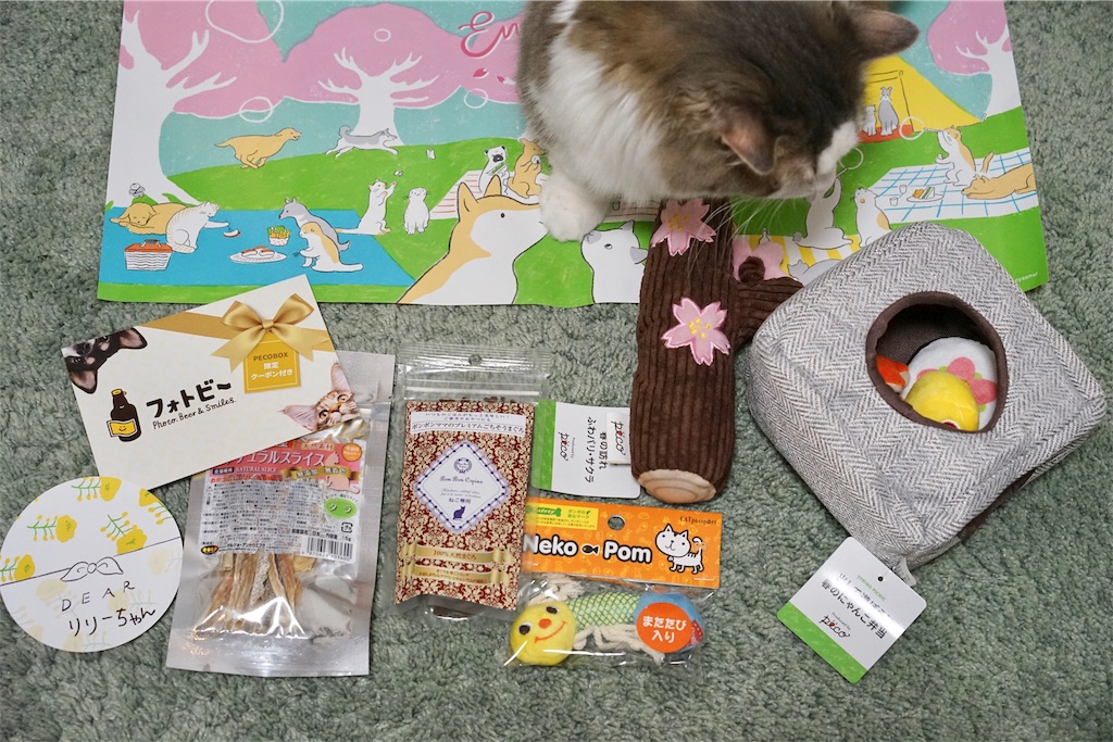 Pecobox 4月号 春のおでかけ号 の中身とは マンチカン リリーのブログ