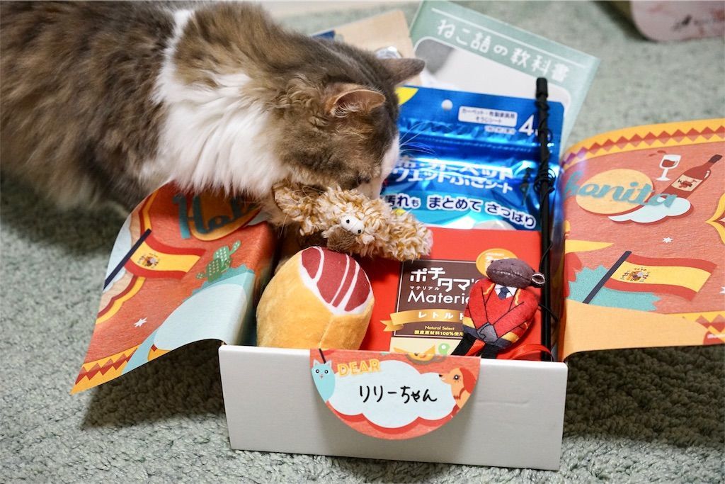 Pecobox 5月号 スペイン号 の中身を紹介 マンチカン リリーのブログ