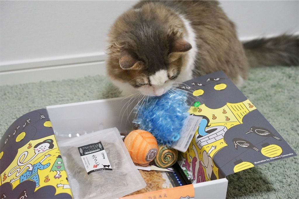 Pecobox 7月号 きもだめし の中身を紹介 マンチカン リリーのブログ