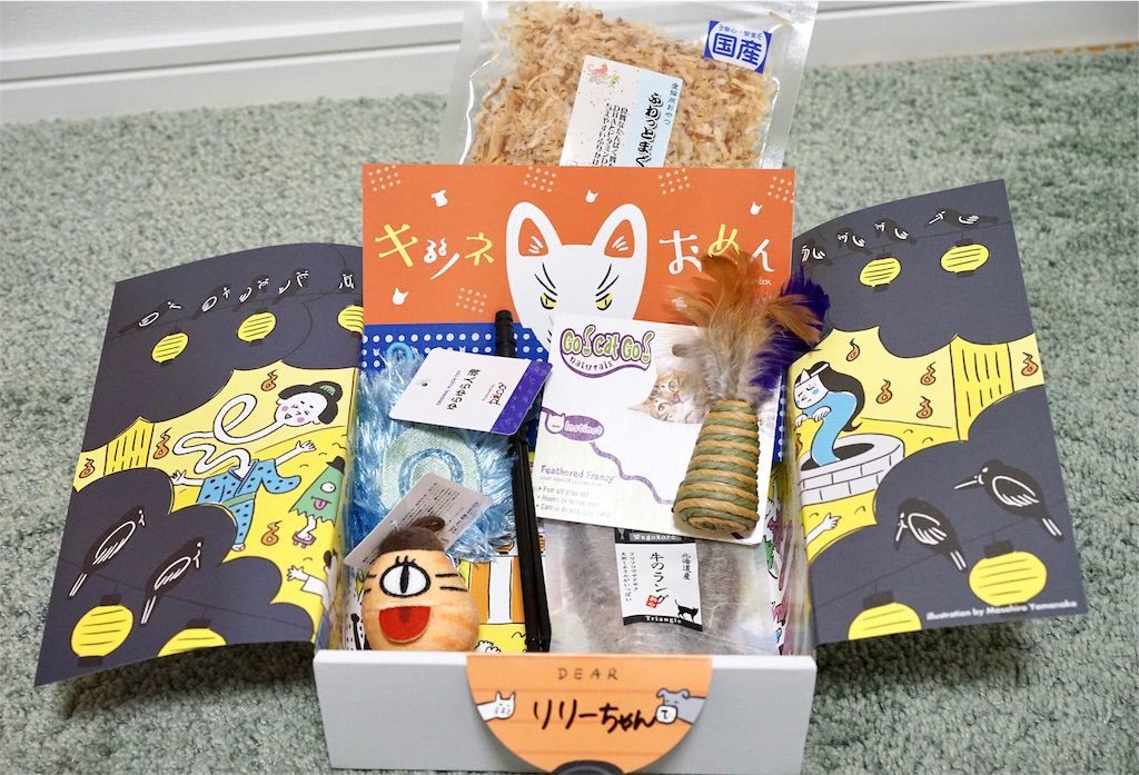 開封した『PECOBOX for Cats きもだめし』