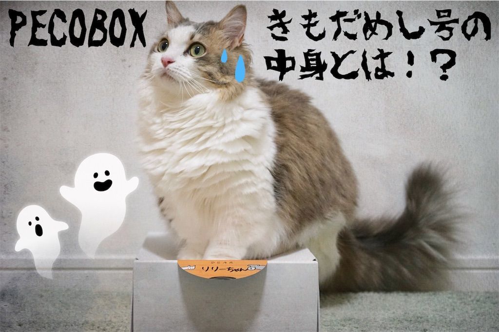 インスタ ストーリー用の画像