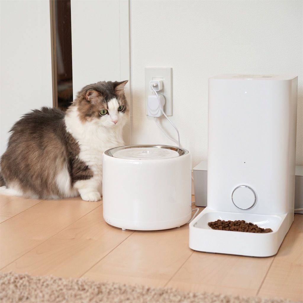 猫の水遊び問題２ 自動給水器3台目をゲットしました マンチカン リリーのブログ