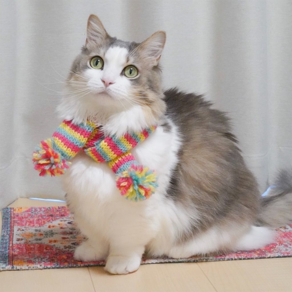 フランシュリッペ ねこマフラー　yukiemon シナモンマフラー – BUNNY APARTMENT