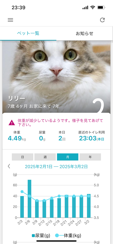 f:id:lily_22cat:20250302234209p:image