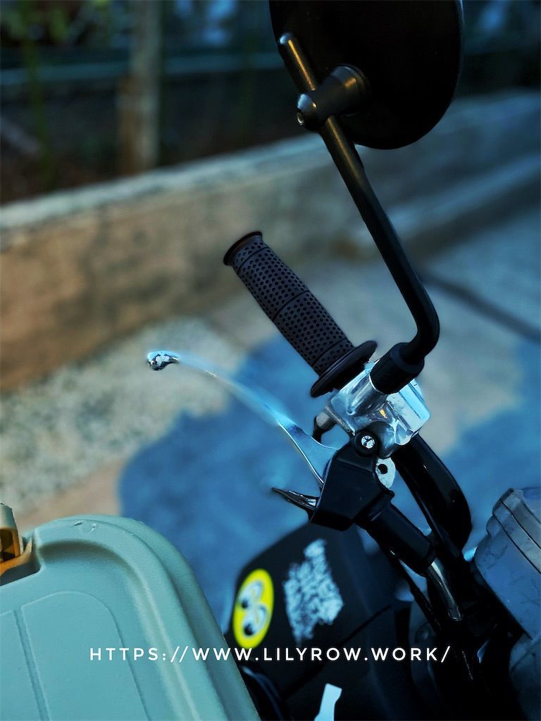 f:id:lily_row:20220301210435j:image f:id:lily_row:20220301210435j:image
