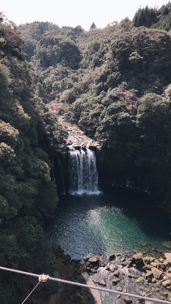 f:id:lilychaco:20190319232314j:plain
