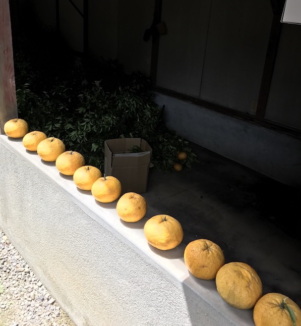 f:id:lilychaco:20190320063232j:plain