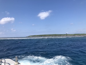 f:id:lilychaco:20190417065006j:plain f:id:lilychaco:20190417065006j:plain