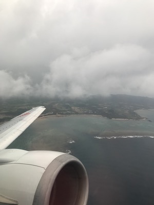 f:id:lilychaco:20190625171734j:plain f:id:lilychaco:20190625171734j:plain