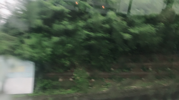f:id:lilychaco:20190719065611j:plain