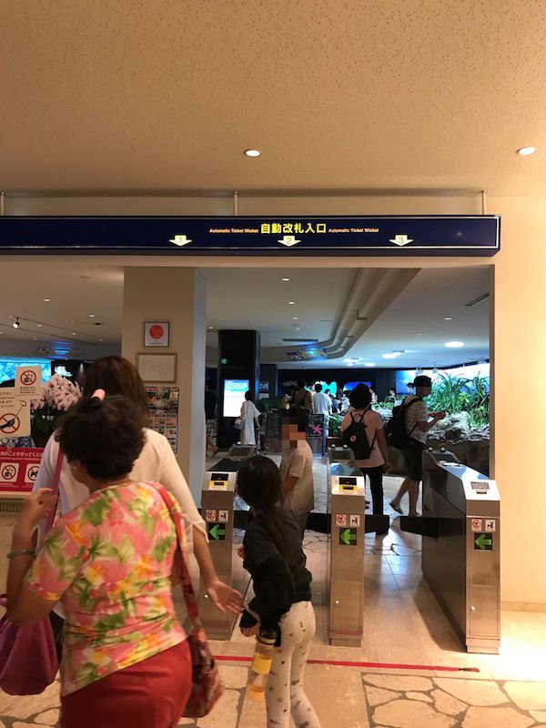 f:id:lilychaco:20190719071023j:plain